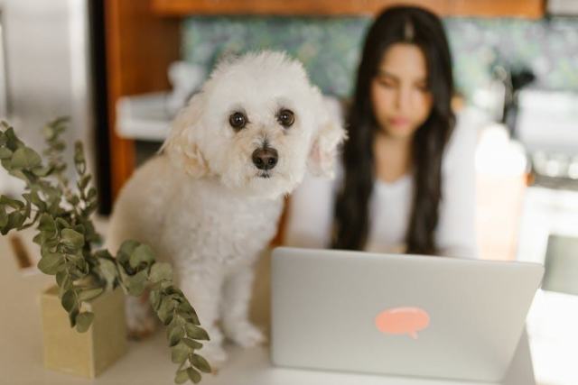 Entretenir sa perruque synthétique bouclée pour la garder longtemps