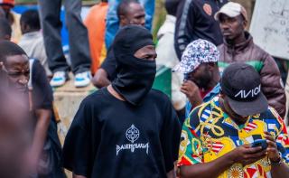 Cultiver le goji chez soi : plantation et entretien