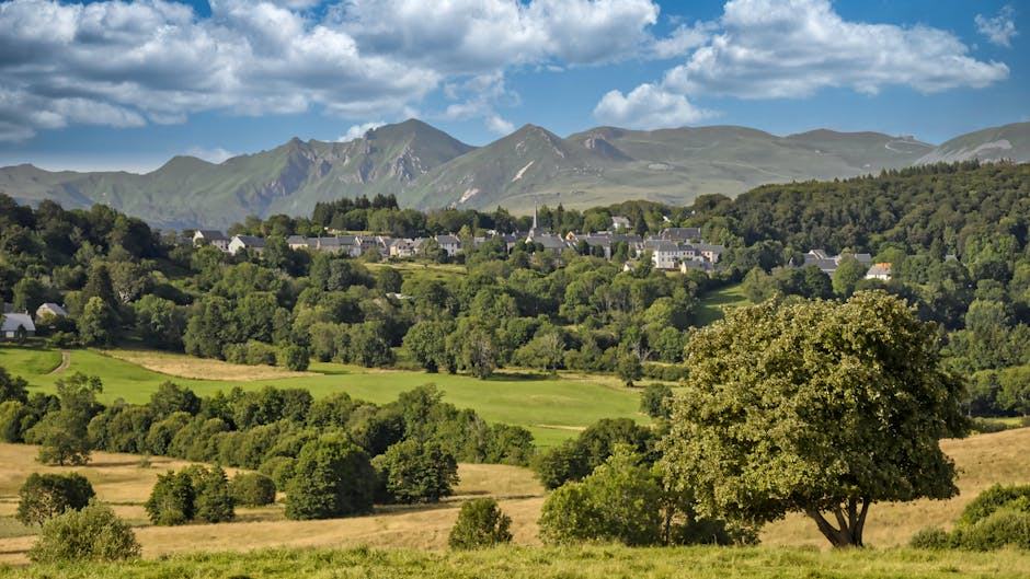 Organiser ses obsèques à l’avance : ce qu’il faut savoir