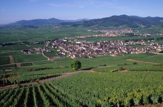 Appels d’offres en promotion immobilière : fonctionnement