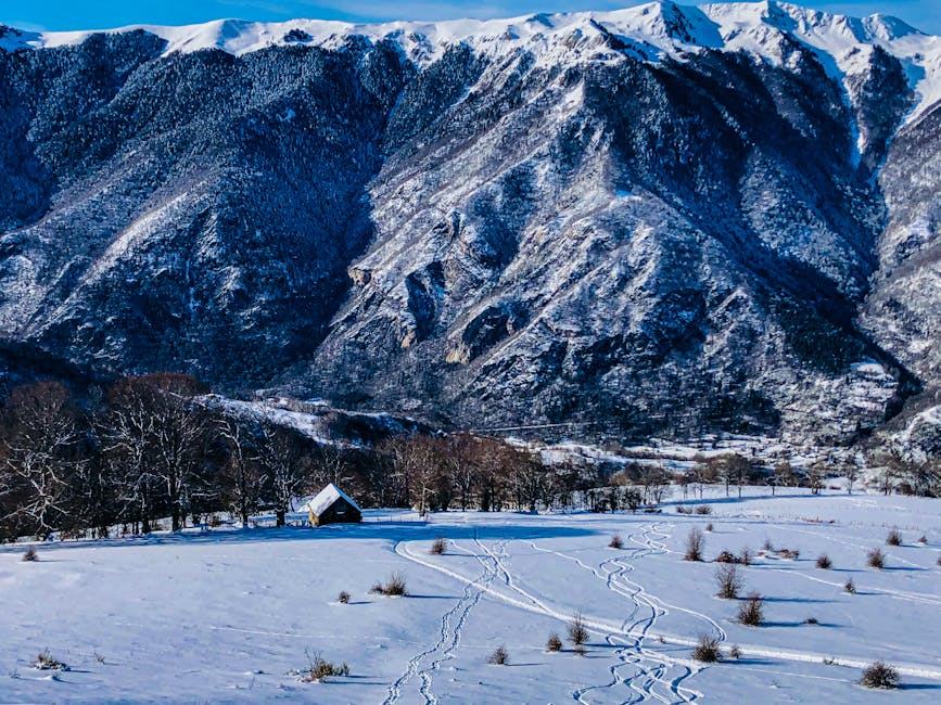 Agence immobilière à Grenoble : marché et quartiers clés en 2026