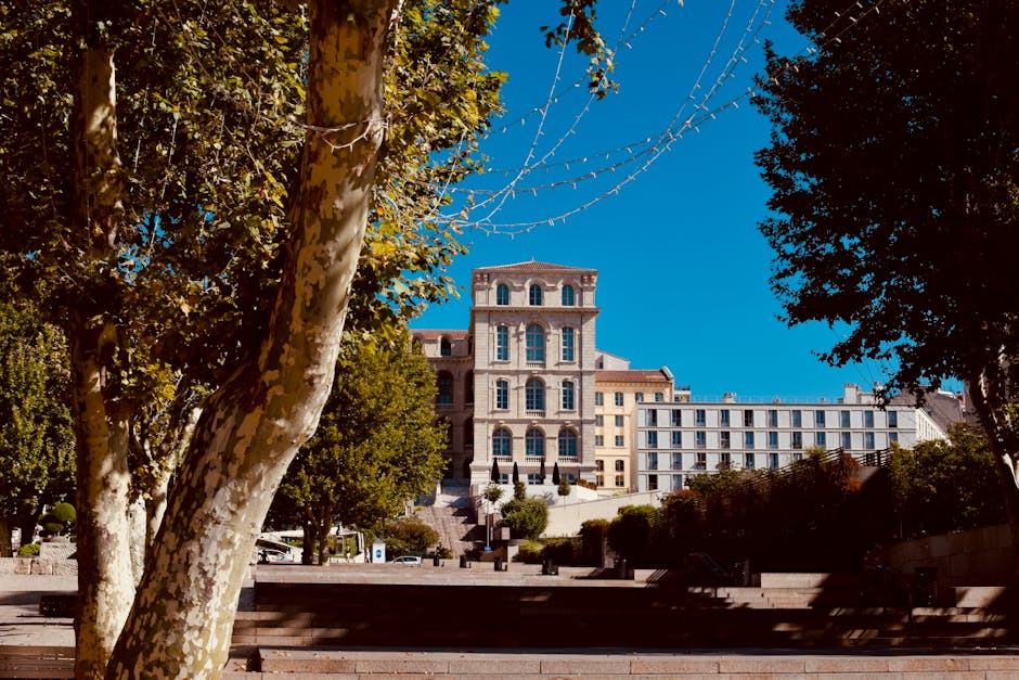 Vin de Bordeaux pétillant : le guide complet